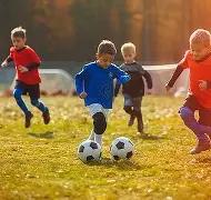 巅峰对决,粤鲁,争霸战,世界杯竞猜,2026世界杯,竞猜策略,奖金,开奖结果